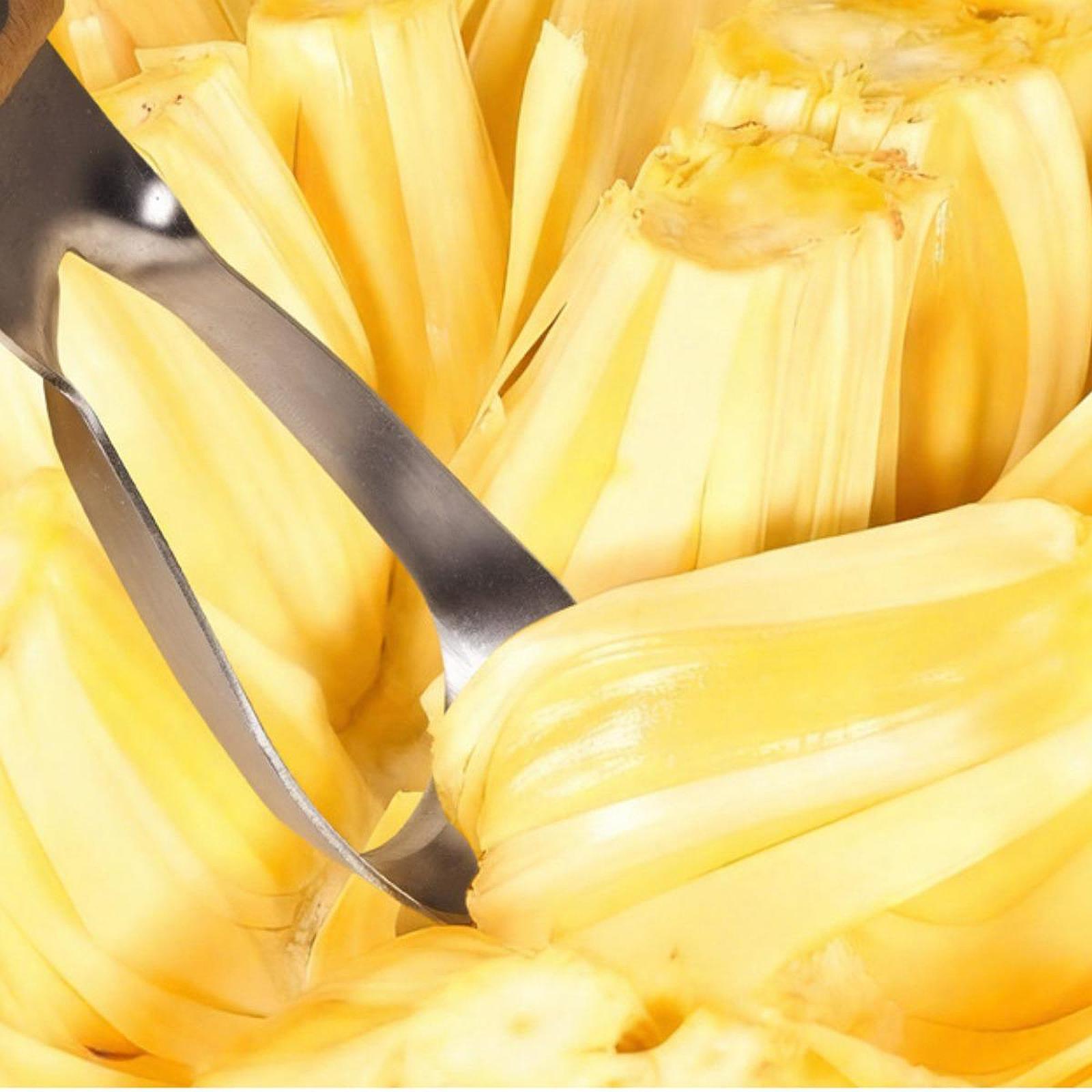 Jackfruit Corer Remover,Portab - Kitchen Gadgets Store 评论和价格