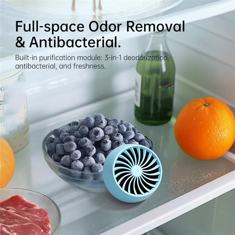 2025-Refrigerator Deodorizer O - Kitchen Gadgets Of 2025 评论和价格